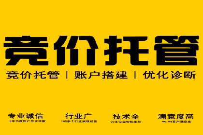 SEM广告投放案例：助力企业业绩飙升